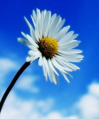 榆林人流术后出血时间长需警惕