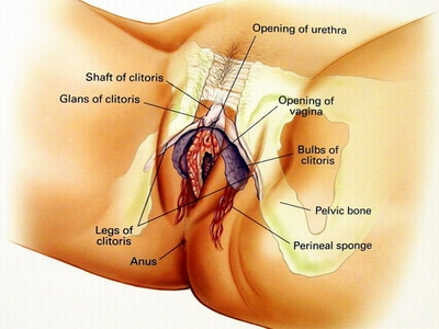 无痛人流时间是什么时候